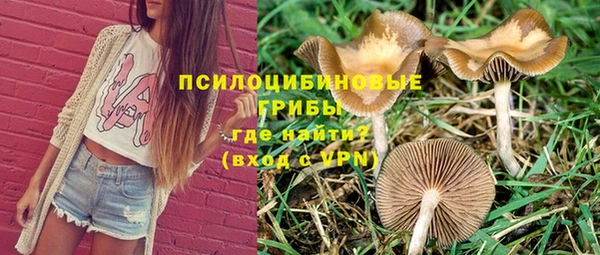 стаф Ростов