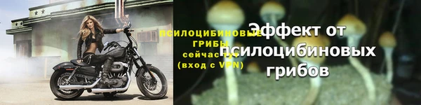стаф Ростов
