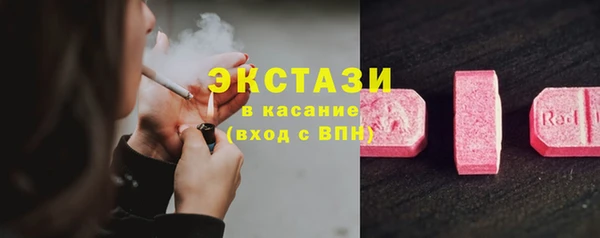 стаф Ростов