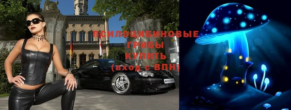 стаф Ростов