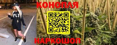 PSILOCYBIN Пушкино