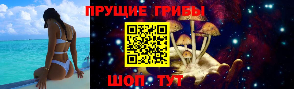 Галлюциногенные грибы мицелий Торжок