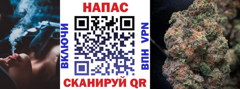 Бошки Шишки конопля  дарнет шоп  Торжок 
